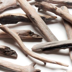 Dimplex Ignite Evolve