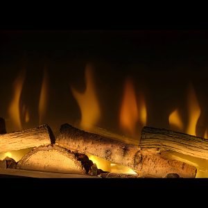 Dimplex Ignite Evolve