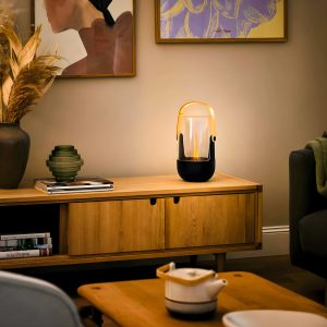 Τζάκι Ατμού Ηλεκτρικό Επιτραπέζιο Stadler Form Sophie Little